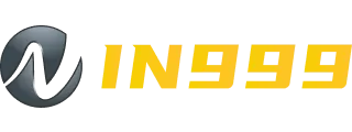 IN999 Logo